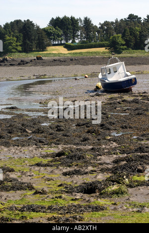 Boot bei Ebbe in Strangford Lough, County Down, Nordirland gestrandet Stockfoto
