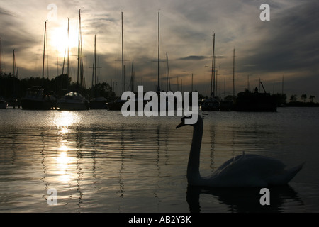 Sonnenuntergang über Kinnego Marina am Lough Neagh, Craigavon, County Armagh, Nordirland Stockfoto