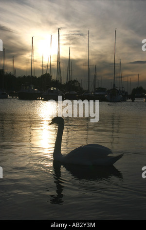 Sonnenuntergang über Kinnego Marina am Lough Neagh, Craigavon, County Armagh, Nordirland Stockfoto