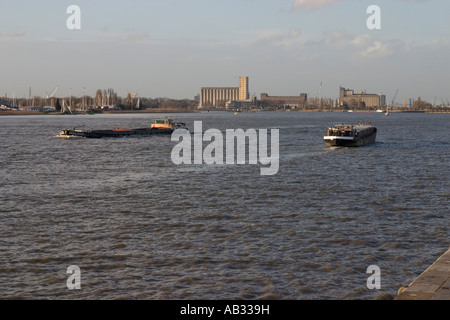 Zwei Schiffe auf der Schelde in der Nähe von Hafen von Antwerpen Stockfoto