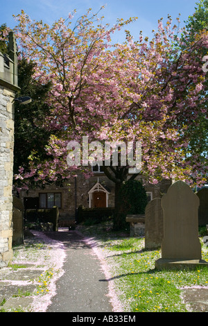 Weg durch den Kirchhof an St. Edmunds Kirche in Castleton im Peak District in Derbyshire Stockfoto