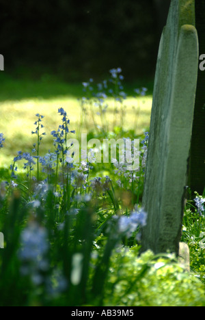 Grabstein Detail in Bunhill Felder Friedhof London Borough of Islington Stockfoto