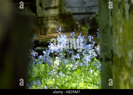 Grabstein Detail in Bunhill Felder Friedhof London Borough of Islington Stockfoto