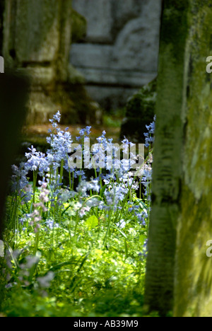 Grabstein Detail in Bunhill Felder Friedhof London Borough of Islington Stockfoto