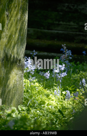 Grabstein Detail in Bunhill Felder Friedhof London Borough of Islington Stockfoto