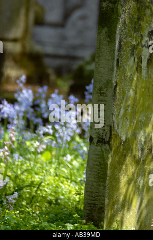 Grabstein Detail in Bunhill Felder Friedhof London Borough of Islington Stockfoto