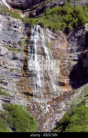 Zaum Vale fällt im Sommer Provo Canyon in Utah Stockfoto