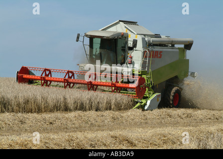 Gerstenfeld und Combine Harvester Südengland Großbritannien Hampshire Stockfoto