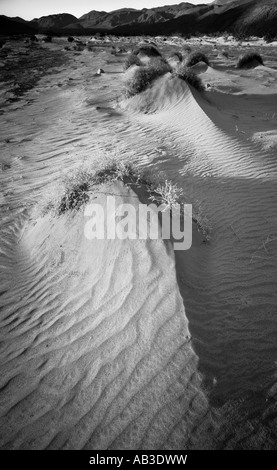 Black And White Sand Dunes In Coyote Canyon Anza Borrego Desert State Park Borrego Springs San Diego County Kalifornien Vereinigte St Stockfoto