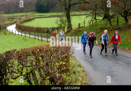 Gruppe von Wanderern auf Landstraße in der Nähe von Llanwrtyd Wells Powys Wales UK Teilnahme an der Real Ale Wanderung walking festival Stockfoto
