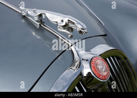 Detail des Jaguar auf der Motorhaube Oldtimer show Tatton Park Cheshire England uk Stockfoto