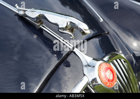 Detail des Jaguar auf der Motorhaube Oldtimer show Tatton Park Cheshire England uk Stockfoto