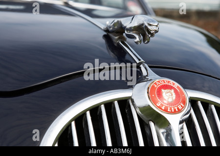 Detail des Jaguar auf der Motorhaube Oldtimer show Tatton Park Cheshire England uk Stockfoto