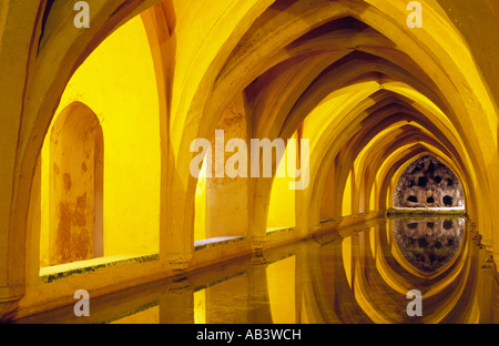 Alcázar - Sevilla, Andalusien, Spanien Stockfoto
