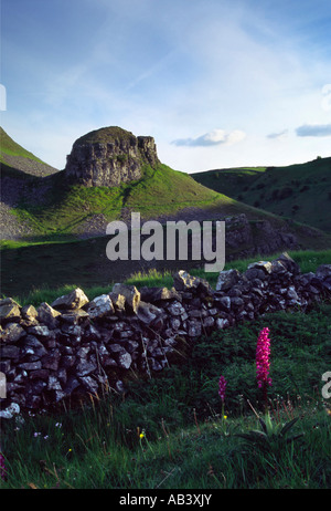 Peter Stein, Cressbrook Dale, Peak District, England... Stockfoto