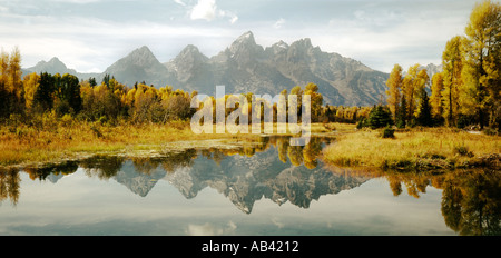 Grand Teton National Park in Wyoming zeigt Herbstfarben am Schwabaker Biber Teich-Gebiet Stockfoto