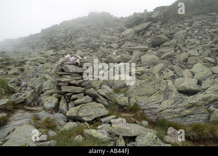 Boott Spur Trail in der Nähe des Gipfels des Boott Spur White Mountains New Hampshire Stockfoto