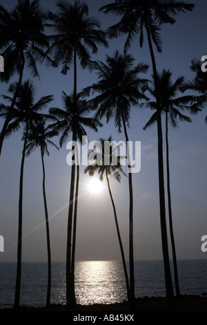 Sonnenuntergang in Anjuna Goa Indien mit Palmen im Vordergrund Stockfoto