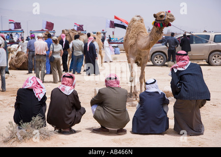 Bedoiun sammeln im Vorfeld das Kamelrennen in Palmyra die Rennen jedes Jahr im Rahmen des Festivals Palmyra statt Stockfoto