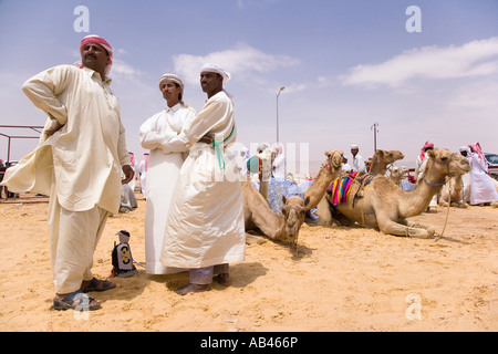 Das Kamel Rennen in Palmyra Syrien Stockfoto