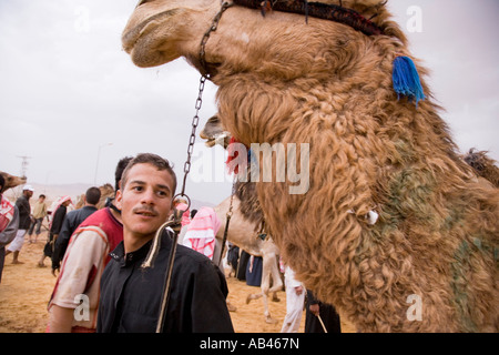 Das Kamel Rennen in Palmyra Syrien Stockfoto