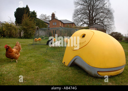 OMLET EGLU CHICKEN HOUSE UK 2007 Stockfoto