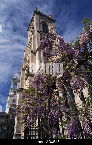 South Carolina Charleston Unitarian Church ca. 1777 Schmiedeeisen und Glyzinien Stockfoto