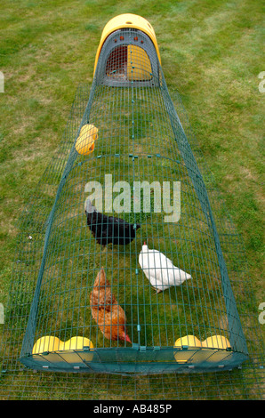 OMLET EGLU CHICKEN HOUSE UK 2007 Stockfoto