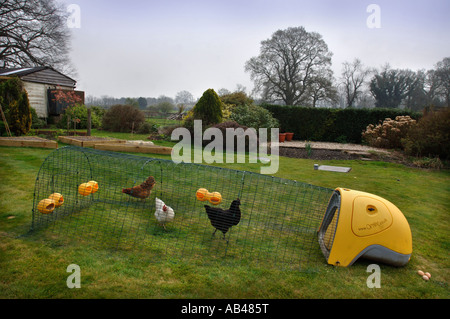 OMLET EGLU CHICKEN HOUSE UK 2007 Stockfoto