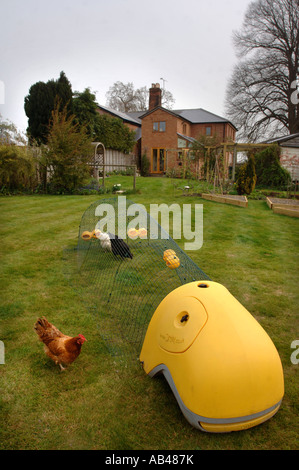 OMLET EGLU CHICKEN HOUSE UK 2007 Stockfoto