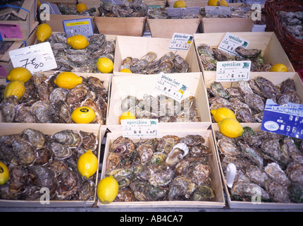 Boxen von Austern Trouville Calvados Normandie Frankreich Stockfoto