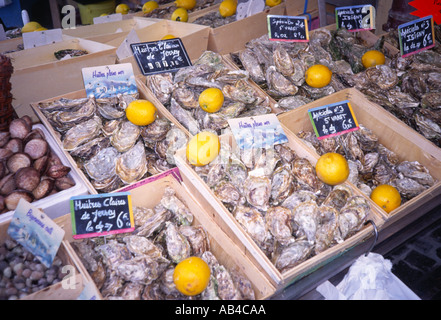 Boxen von Austern Trouville Calvados Normandie Frankreich Stockfoto