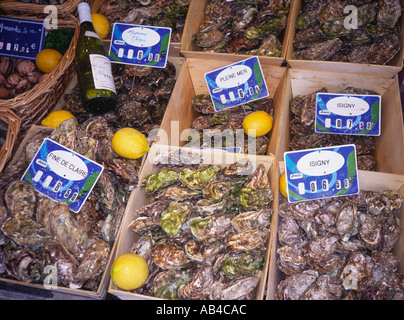 Boxen von Austern Trouville Calvados Normandie Frankreich Stockfoto