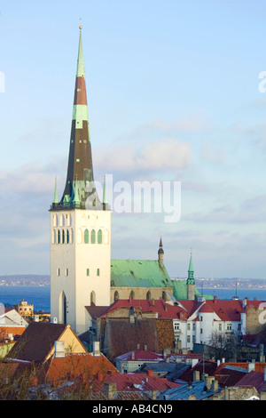 Ein Blick auf die Dächer der Altstadt von Tallinn und der prominente Turm der Kirche St Olaf (Oleviste Kirik). Stockfoto