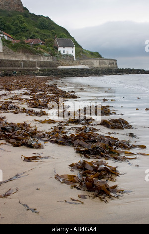 Runswick Bay Yorkshire Stockfoto