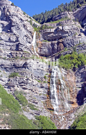 Zaum fällt doppelt verliebt sich in Provo Canyon Utah. Wasatch Mountains. Stockfoto