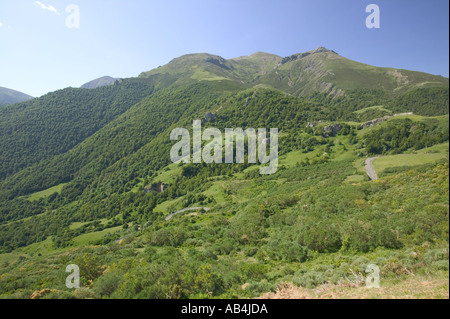 Buche Wälder an den unteren hängen der Picos de Europa Bergen Nordspaniens mit Bergstraße Stockfoto