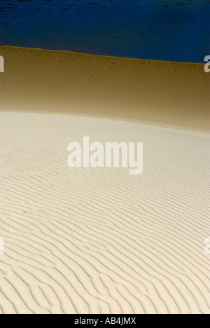 Sanddünen, Raabjerg Mile, Skagen, Dänemark Stockfoto