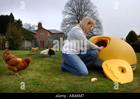 OMLET EGLU CHICKEN HOUSE UK 2007 Stockfoto