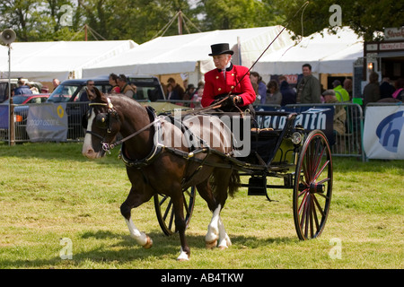 Pony und Trap im Ehrenring auf Landwirtschaft Bauernhof zeigen in Fife Schottland Stockfoto