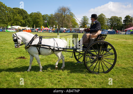 Pony und Trap im Ehrenring auf Landwirtschaft Bauernhof zeigen in Fife Schottland Stockfoto