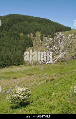 Irland County Wicklow Mountains Glenmacnass Wasserfall Stockfoto