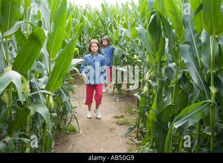 Mais Labyrinth in Metton Norfolk UK Stockfoto