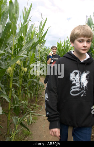 Mais Labyrinth in Metton Norfolk UK Stockfoto