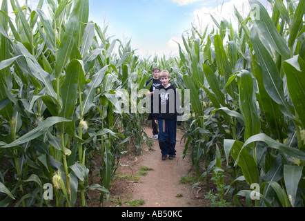 Mais Labyrinth in Metton Norfolk UK Stockfoto