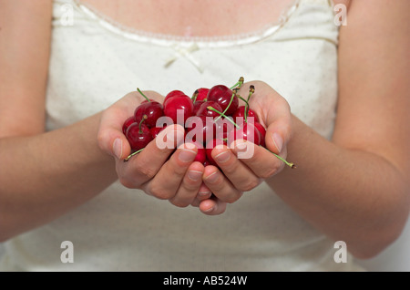 Weibliche Hände halten Kirschen hautnah Stockfoto