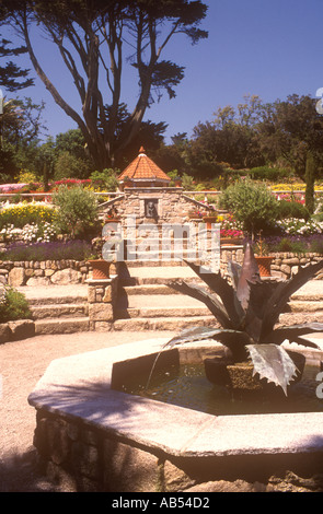 Abbey Gardens auf der Insel Tresco Isles of Scilly Cornwall Großbritannien Stockfoto
