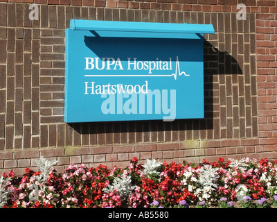 Warley Brentwood Essex BUPA Hartswood Krankenhaus mit Sommer Beetpflanzen Stockfoto