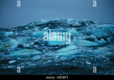 Eis verstopft Ozean Wellengang während Kraft 11 Sturm Ross Meer Antarktis Stockfoto