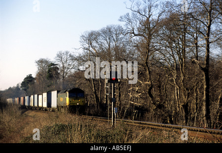 Freightliner-Güterzug auf der eingleisigen Nebenbahn zwischen Ipswich und der Hafen von Felixstowe, Suffolk, UK. Stockfoto